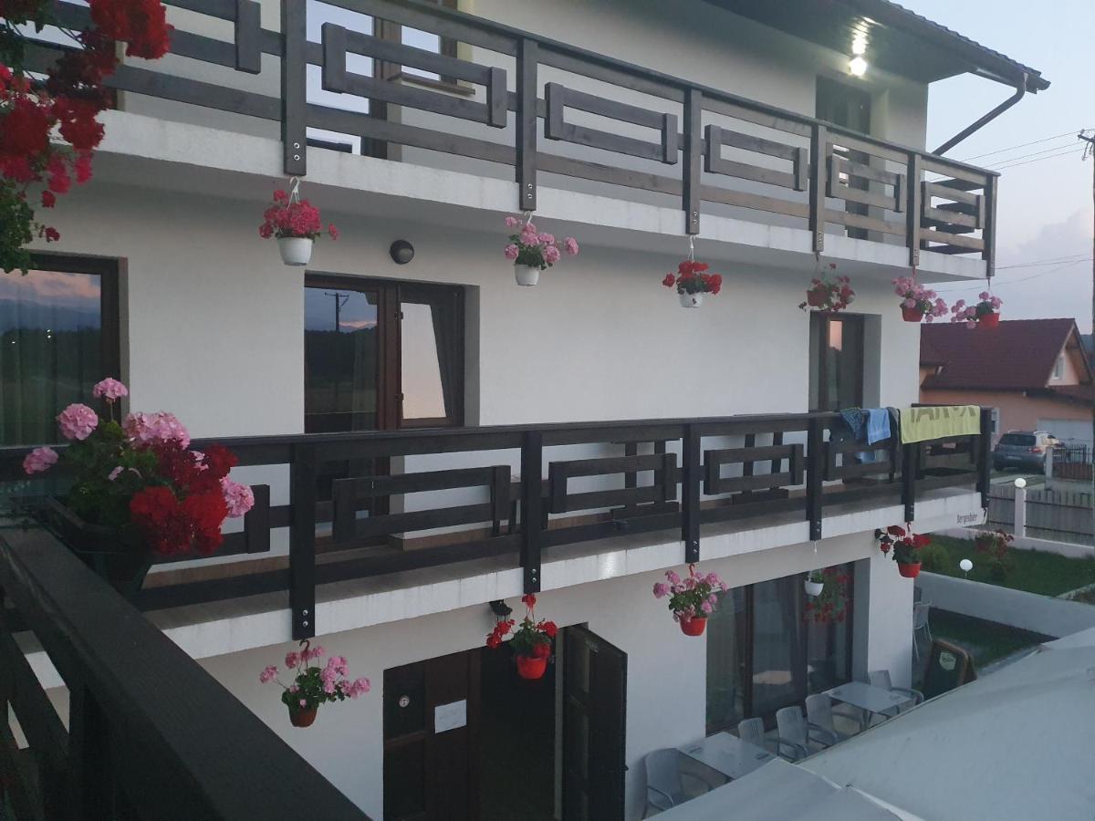 Pensiunea Ronicson Milostea ภายนอก รูปภาพ